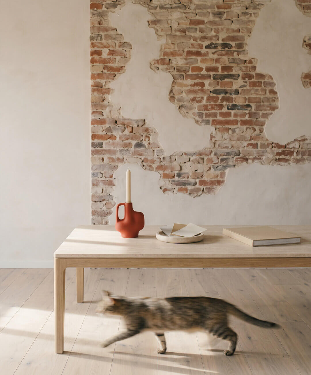 Katze rennt an Kaffeetisch vorbei NOVA AND BOW Studio
