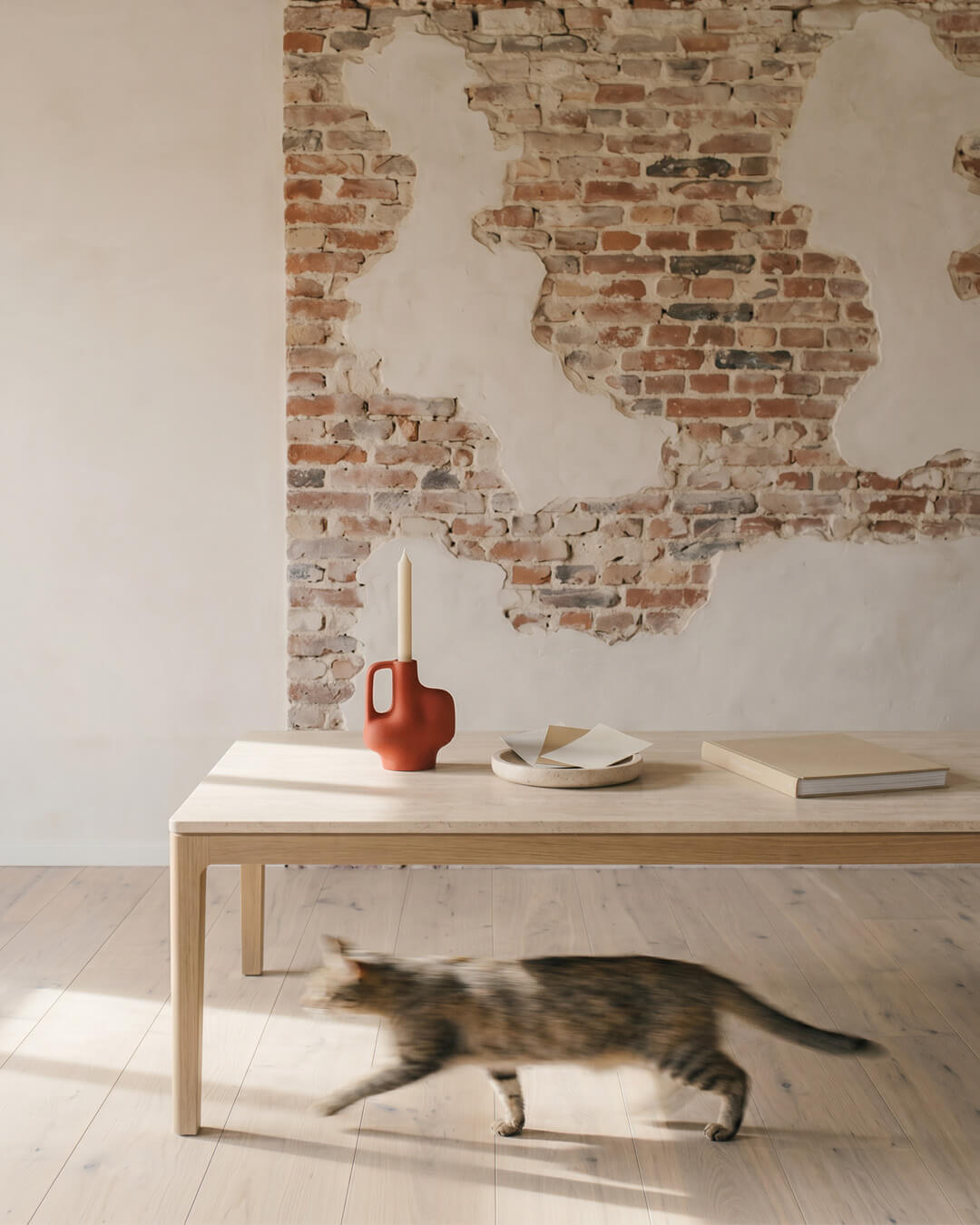 Katze rennt an Kaffeetisch vorbei NOVA AND BOW Studio